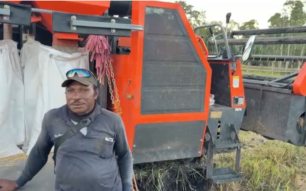 Petani Merauke Rasakan Manfaat Cetak Sawah Rakyat, Hasil Panen Bantu Bangun Rumah dan Biayai Pendidikan Anak
