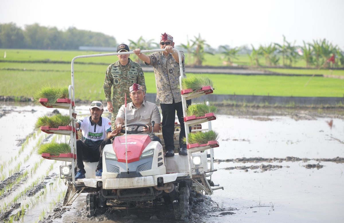 Stok Beras RI Tembus 28 Juta Ton, Wamentan Sudaryono Kebut Tanam 750 Hektar Padi di Lamongan Hadapi El Nino