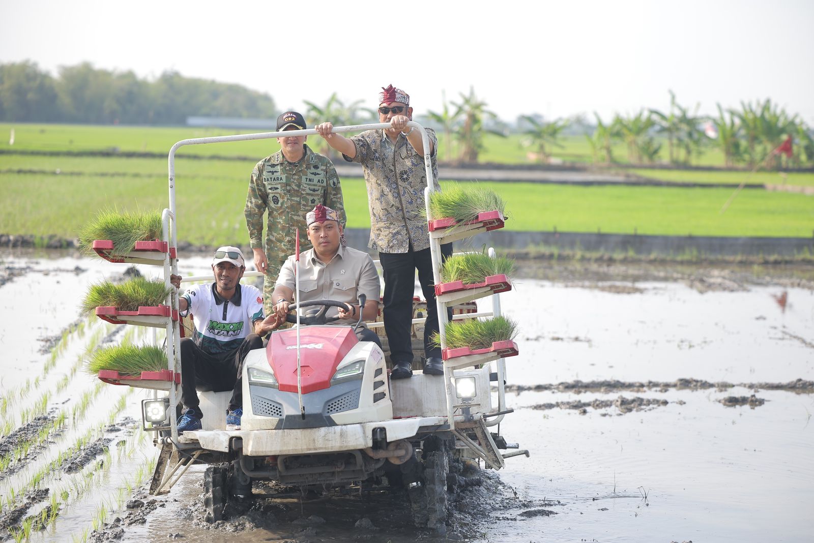 Stok Beras RI Tembus 28 Juta Ton, Wamentan Sudaryono Kebut Tanam 750 Hektar Padi di Lamongan Hadapi El Nino