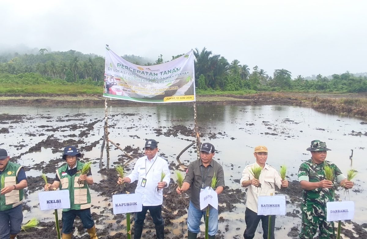 Gerakan Tanam Serempak di Donggala, Kementan Dorong Peningkatan Produksi Pangan Nasional