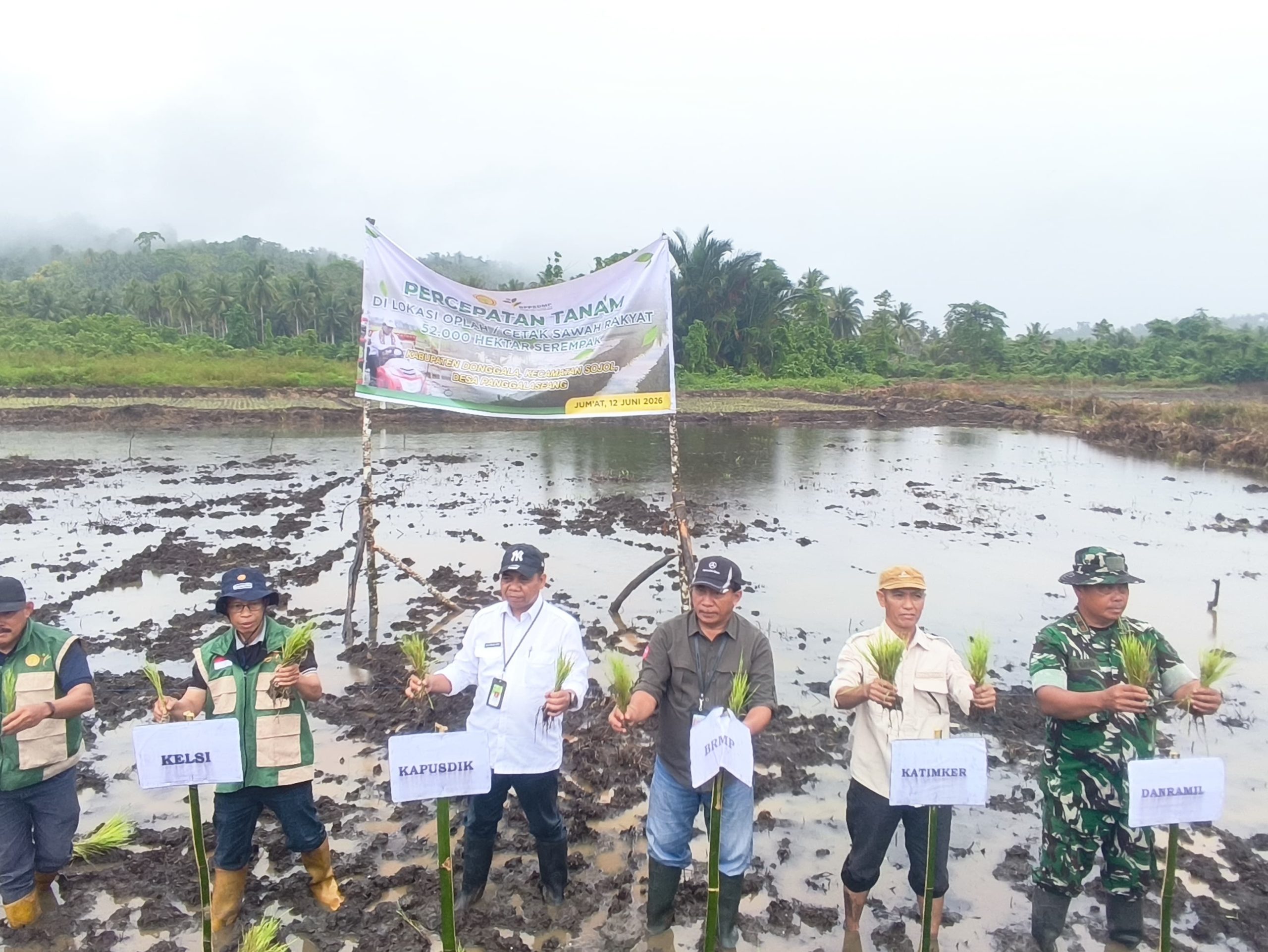 Gerakan Tanam Serempak di Donggala, Kementan Dorong Peningkatan Produksi Pangan Nasional
