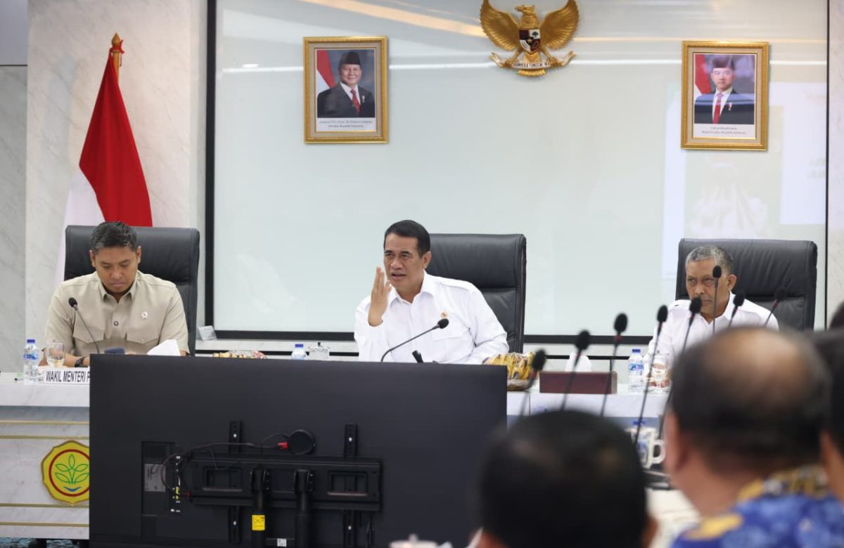 Bangun Ekosistem, Mentan Amran Targetkan Swasembada Bawang Putih dalam Tiga Tahun