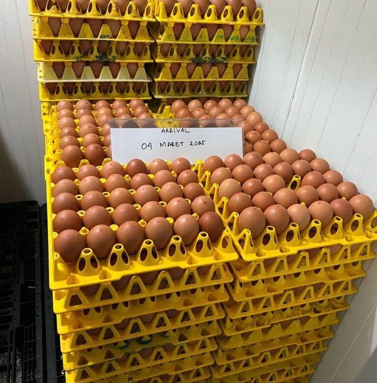 Targetkan Ekspansi Bertahap, WMU Berpeluang Menjadi Produsen Telur Cage-Free Terbesar di Asia Tenggara