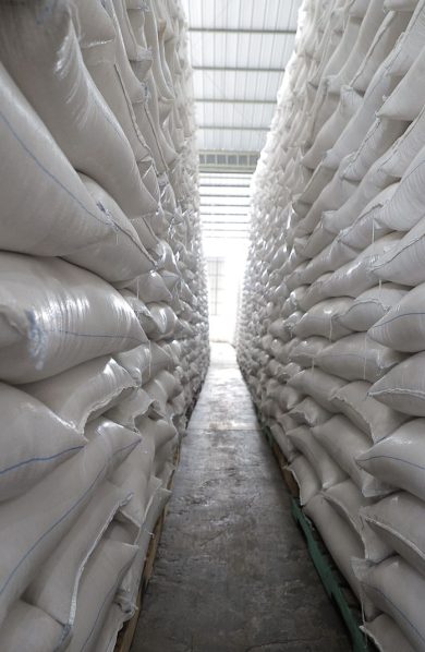 Tertinggi Sepanjang Sejarah, Wamentan Sudaryono: Stok Beras RI Tembus 5 Juta Ton di Era Presiden Prabowo