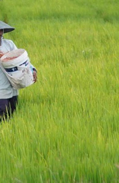 Hari Terakhir Pemutakhiran e-RDKK, Kementan Dorong Petani Tak Lewatkan Kesempatan Dapatkan Pupuk Subsidi