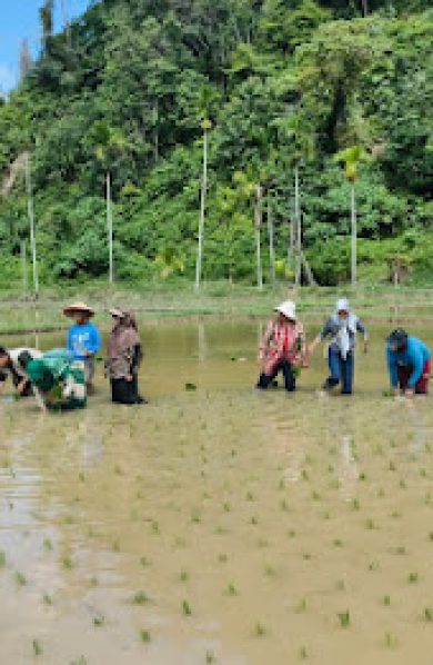 Kementan Kawal Rehabilitasi Lahan Pertanian Pascabencana di Sumatera Barat