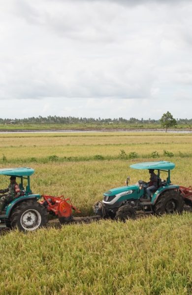 Mentan Amran Jawab Isu “Pesta Babi” di Merauke: Yang Kami Bangun Adalah Pesta Pangan