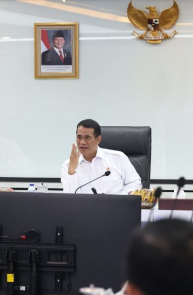 Bangun Ekosistem, Mentan Amran Targetkan Swasembada Bawang Putih dalam Tiga Tahun